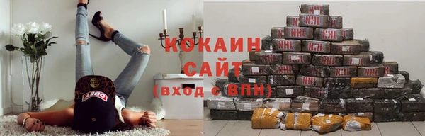 индика Балахна