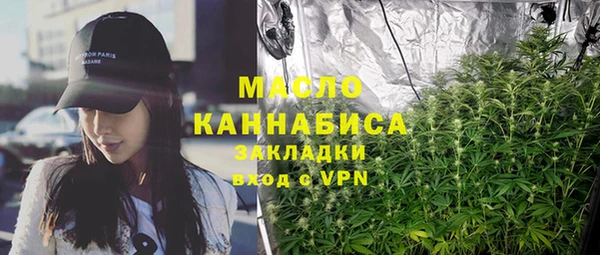 индика Балахна
