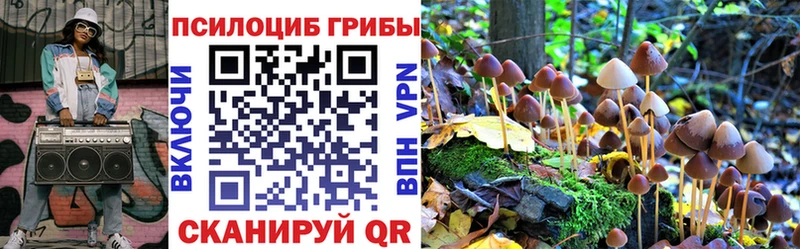 Псилоцибиновые грибы мицелий  Купить где  Соль-Илецк 
