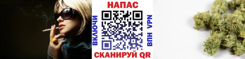 Купить где  Соль-Илецк  Бошки Шишки конопля 